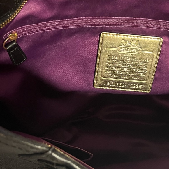 Beautiful Coach - Picture 13 of 15